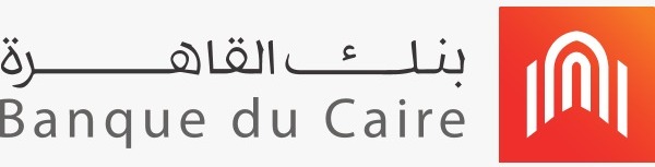 تقسيط بنكى